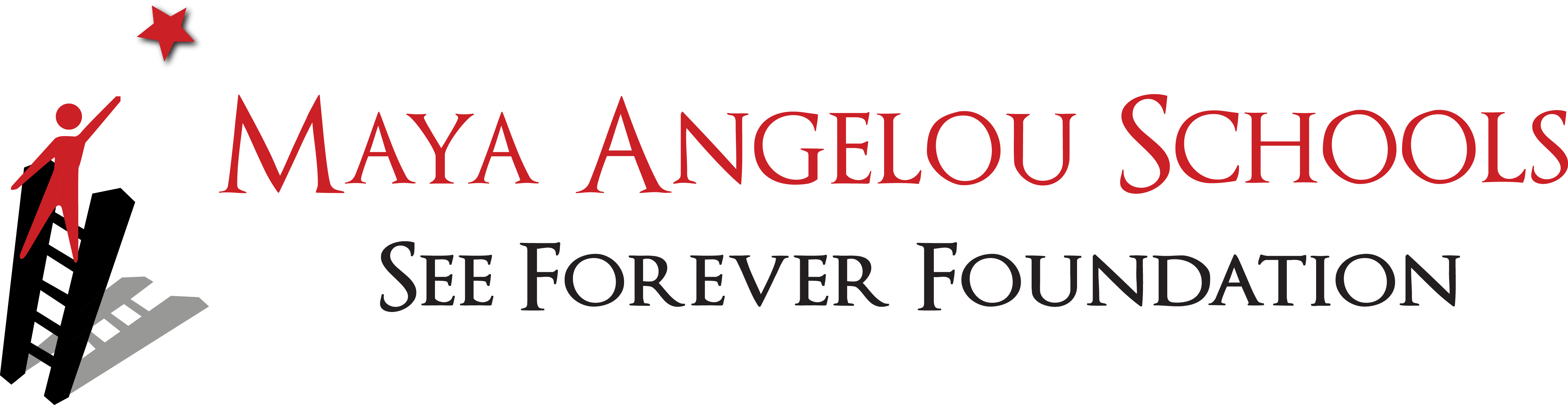 Maya Angelou Public Charter Schools - See Forever Foundation